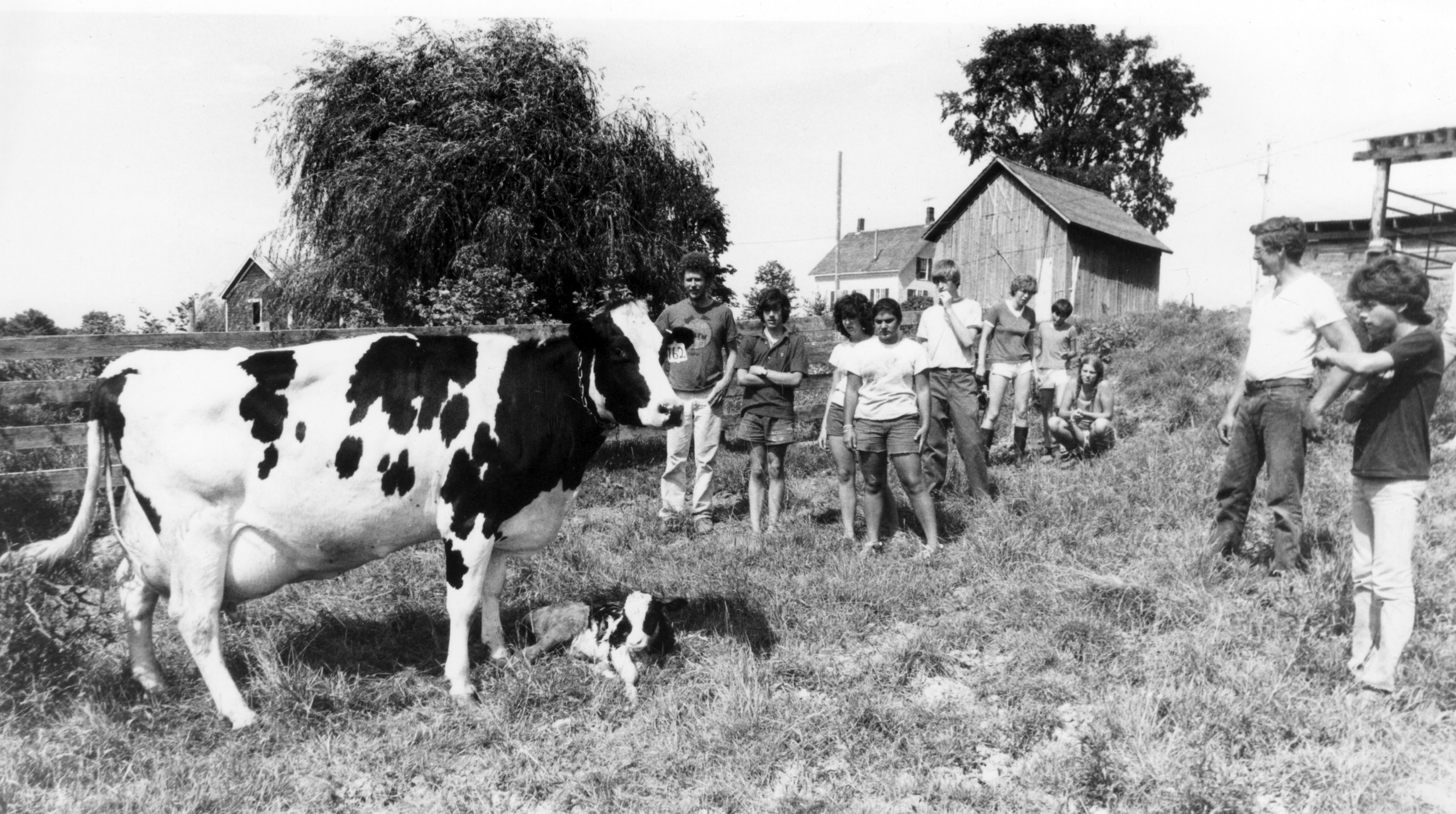 Dairy to Doorstep — Henry Sheldon Museum